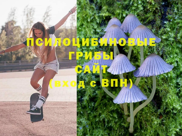 PSILOCYBIN Алзамай
