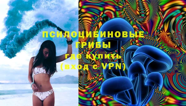 амфетамин Алексеевка